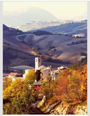 Le Marche5