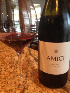 Amici Pinot2