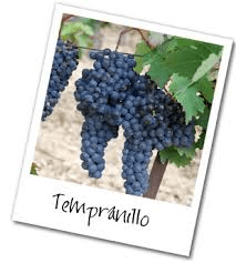 tempranillo