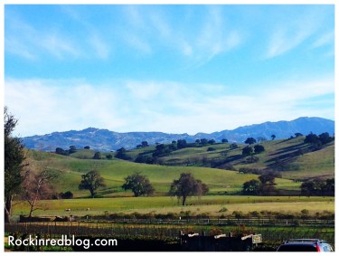 Rusack - Ballard Canyon