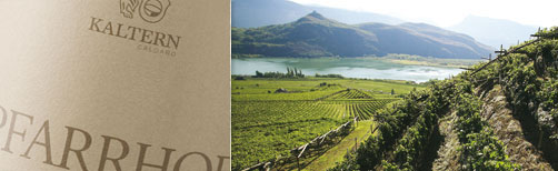Kaltern vineyards