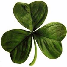 SPD Irish clover