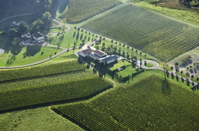 Breaux vineyards (2)