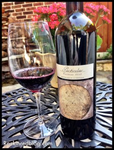 Carinena Particular 2013 Winestudio