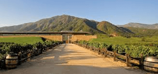 Montes winery