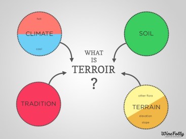 terroir-definition-for-wine