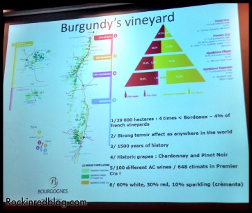 TW Burgundy Tasting (2)