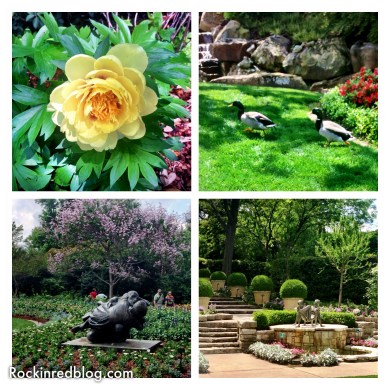 Williams Selyem Arboretum (2)