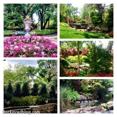 Williams Selyem Arboretum4