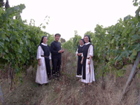 July Italianfwt Coenobium monastery