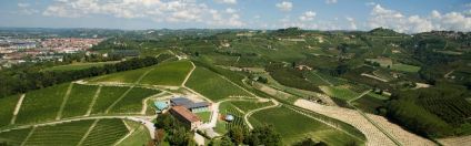 June WinePW Ceretto vineyards