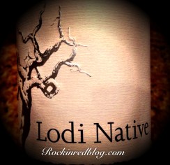 Lodi Native wine bottle logo