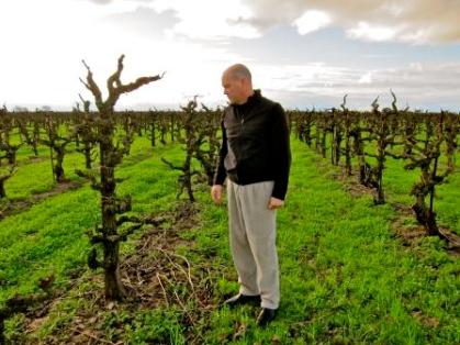 Mike McCay, TruLux Vineyard