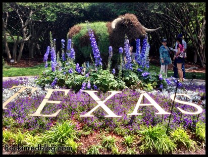 Williams Selyem Arboretum