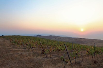 Winestudio May Gali winery