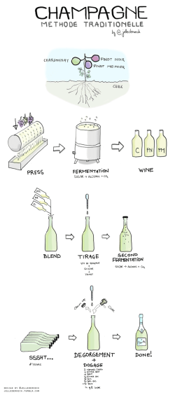 Champagne Traditional Method via winefolly