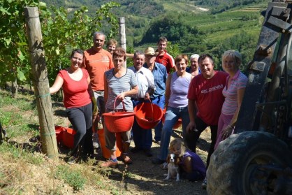 June Winestudio Rose Erezetic wine pickers