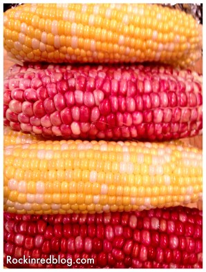 Memorial Day dinner 2015