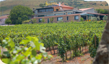 Sardegna Tenute Soletta winery