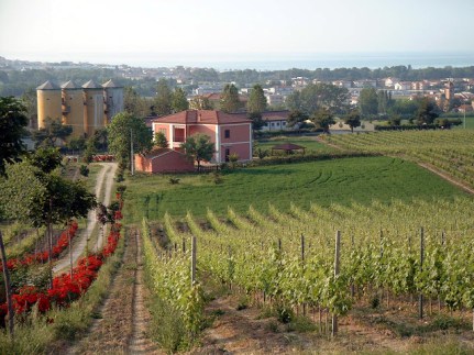 Abruzzo - Barba winery