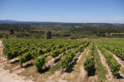 Quinta da Pellada via wineanorak.com 