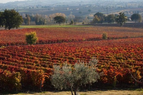 via www.campingassisi.com