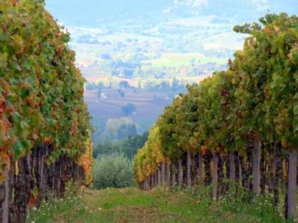 Umbria Paolo Bea winery via tripadvisor