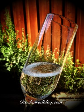 Anna de Codorniu bubbles Sept winestudio