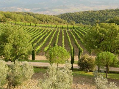 Tuscany vacation Poggio Antico