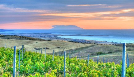 Wines of Turkey Vino Rai Winestudio Gali winery