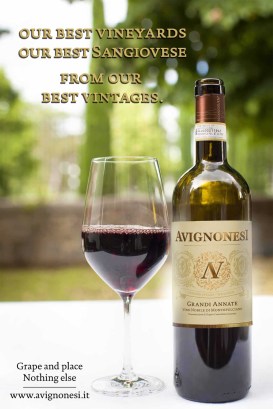 Avignonesi vini noble