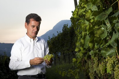 Ferrari Winestudio Marcello Lunelli