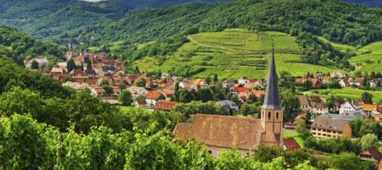 alsace via wines of alsace
