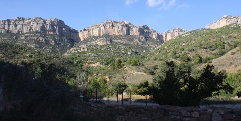 Scala Dei www/aveniubrands.com