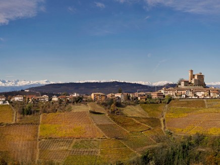 Rivetto vineyard view of Serralunga and the Alps