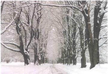 via fred camilli www.almanac.net 