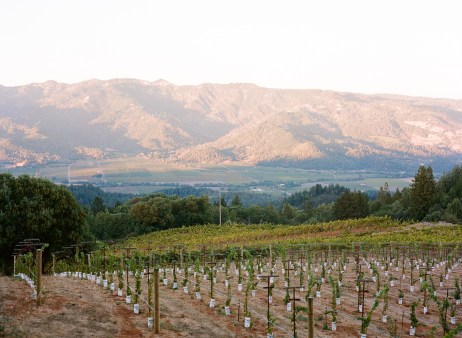 Smith Madrone vineyard via Meg Smith 