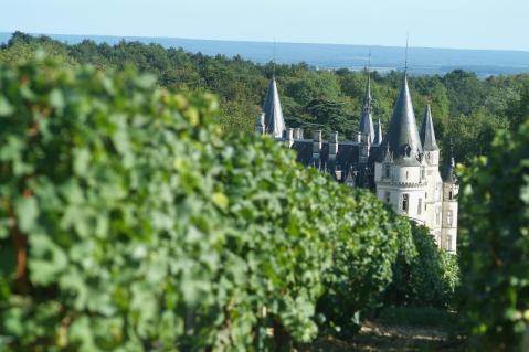 www.loirevalleywine.com 