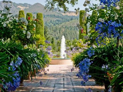 Landmark vineyards winery