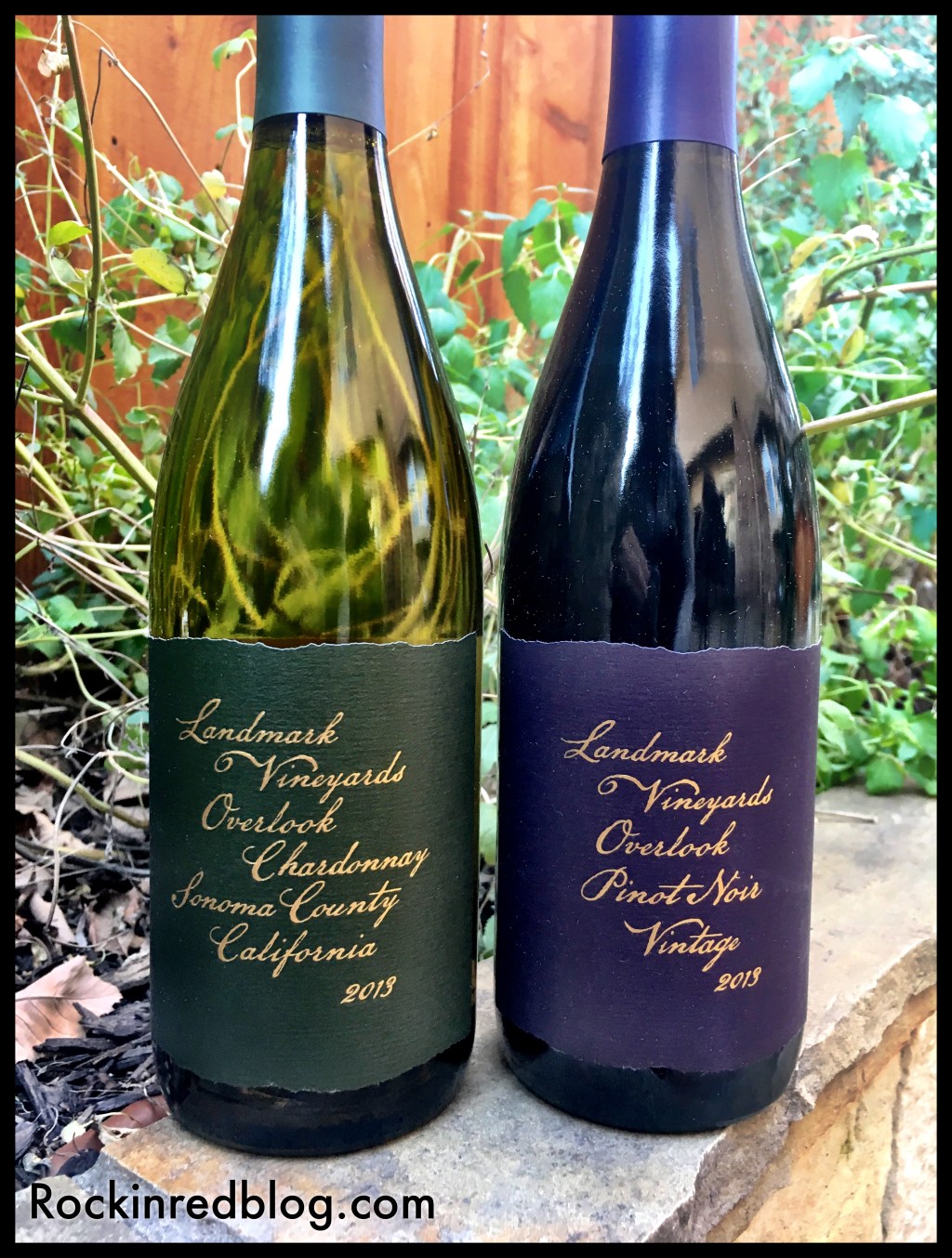 A Virtual Visit to Landmark&nbsp;Vineyards