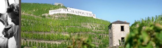 m chapoutier southern rhone vineyards
