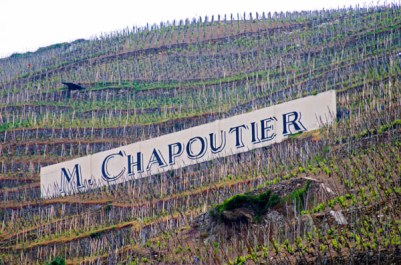 Terraced vineyards in the Cote Rotie district around Ampuis in northern Rhone planted with the Syrah grape. A sign saying M Chapoutier one of the producers. Ampuis, Cote Rotie, Rhone, France, Europe