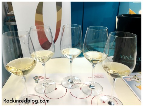 Soave wine tasting 2
