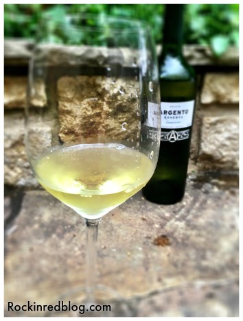 Argento Torrontes4