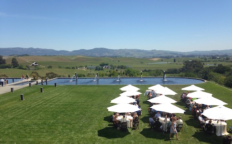 artesa winery napa
