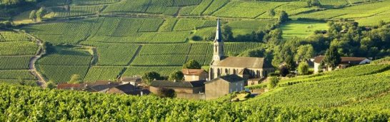 Loire valley pouilly fume via arrowinecom