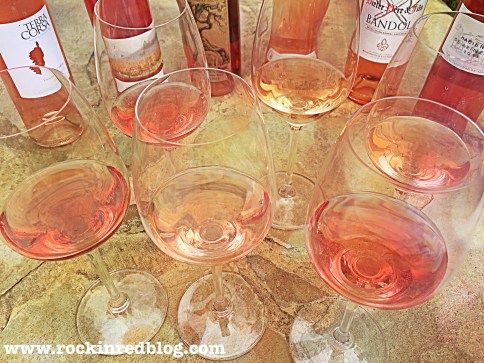 Roses for 2016 article