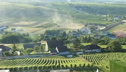 Sancerre Loire Valley vjia sidedish.dmagazine via Hayely Hamilton Cogill