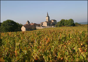 Cahors vineyards