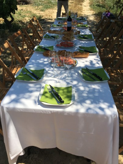 Lunch in the vineyards of Laukotel in Rioja Alavesa.